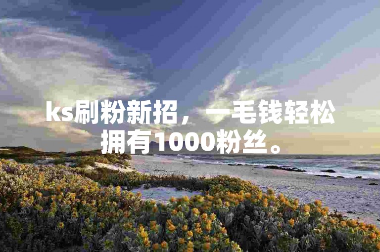ks刷粉新招，一毛钱轻松拥有1000粉丝。