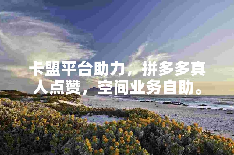 卡盟平台助力，拼多多真人点赞，空间业务自助。