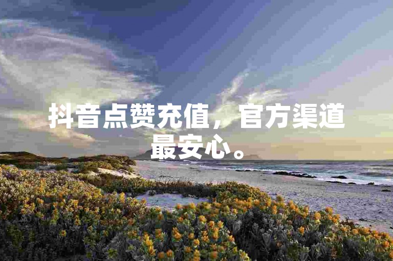 抖音点赞充值，官方渠道最安心。