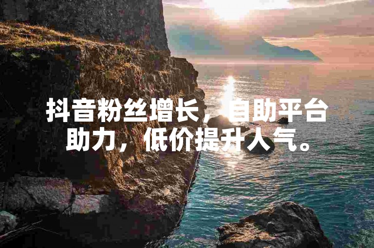 抖音粉丝增长，自助平台助力，低价提升人气。
