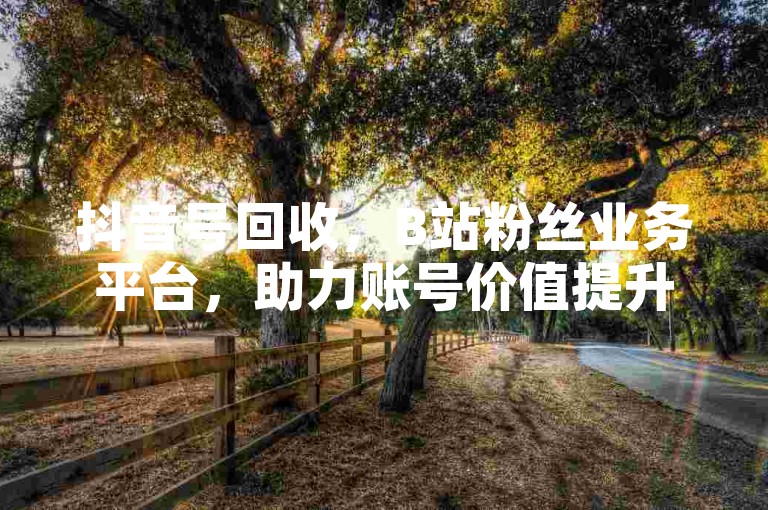 抖音号回收，B站粉丝业务平台，助力账号价值提升。