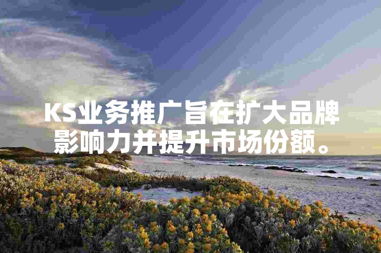 KS业务推广旨在扩大品牌影响力并提升市场份额。