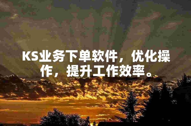 KS业务下单软件，优化操作，提升工作效率。