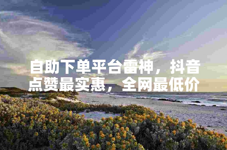 自助下单平台雷神，抖音点赞最实惠，全网最低价。