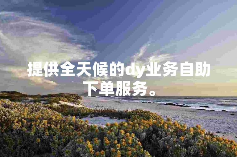 提供全天候的dy业务自助下单服务。