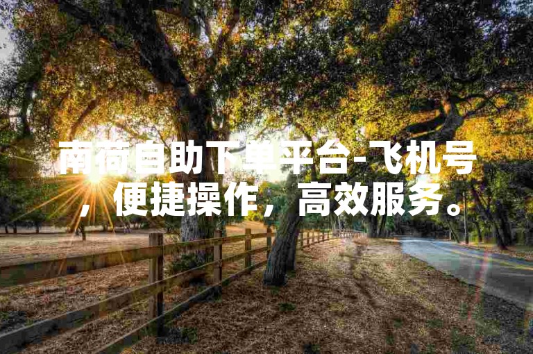 南荷自助下单平台-飞机号，便捷操作，高效服务。