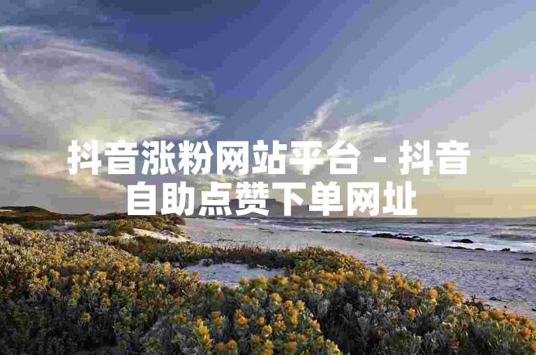 抖音涨粉网站平台 - 抖音自助点赞下单网址