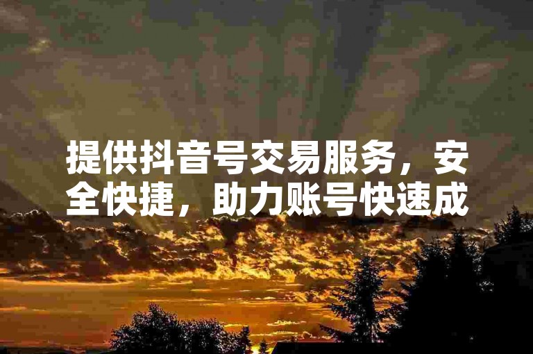 提供抖音号交易服务，安全快捷，助力账号快速成长。
