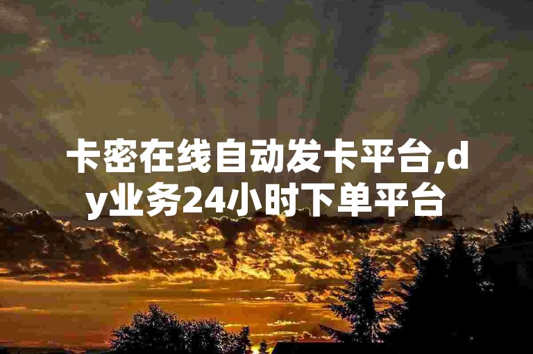卡密在线自动发卡平台,dy业务24小时下单平台