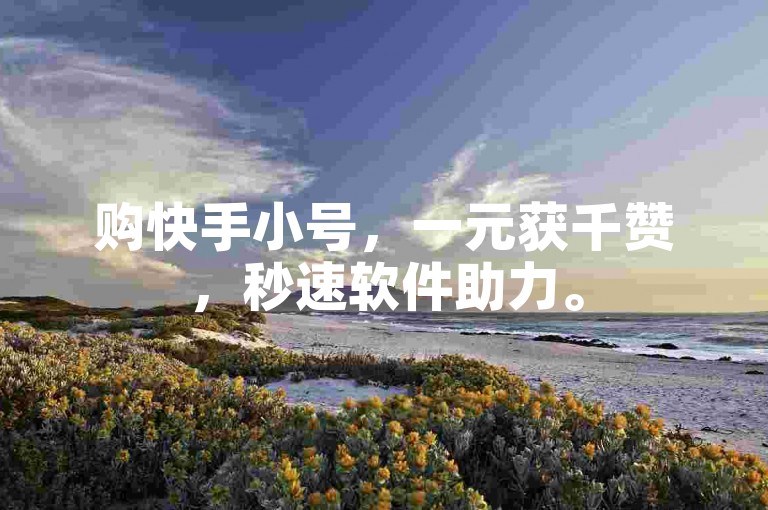 购快手小号，一元获千赞，秒速软件助力。