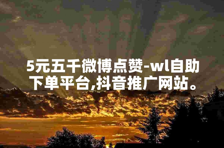 5元五千微博点赞-wl自助下单平台,抖音推广网站。