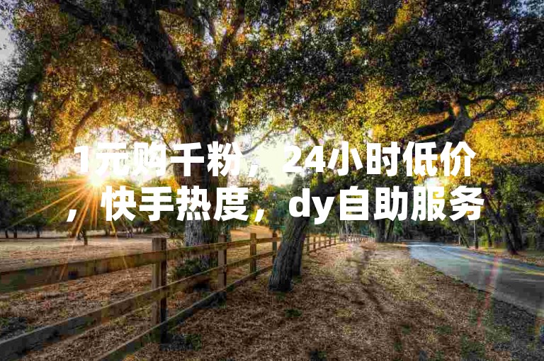 1元购千粉，24小时低价，快手热度，dy自助服务。