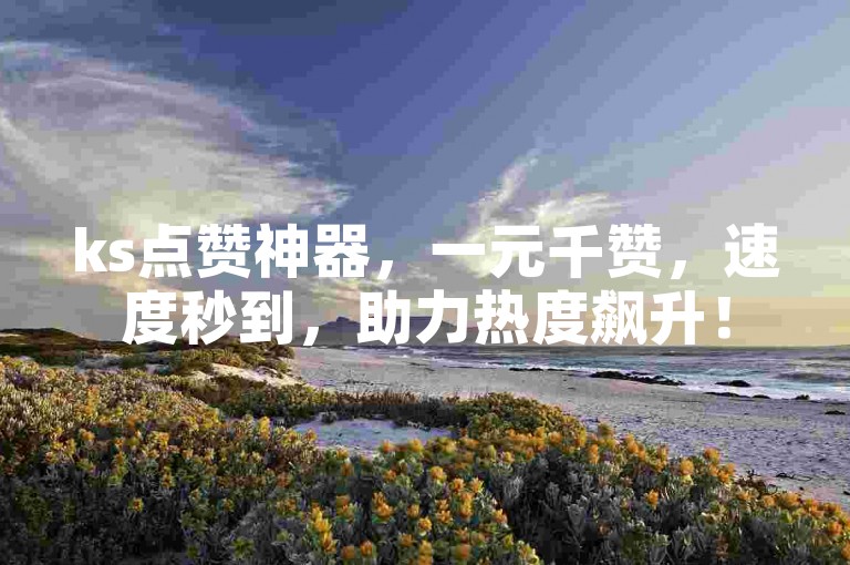 ks点赞神器，一元千赞，速度秒到，助力热度飙升！
