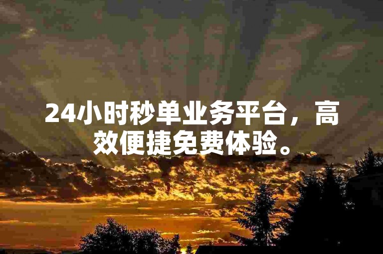 24小时秒单业务平台，高效便捷免费体验。