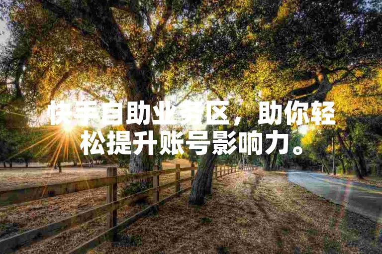 快手自助业务区，助你轻松提升账号影响力。