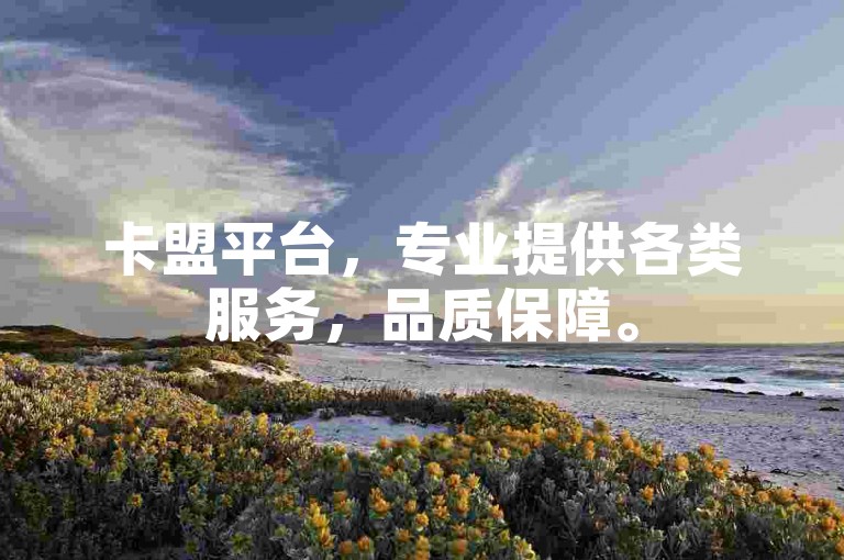 卡盟平台，专业提供各类服务，品质保障。