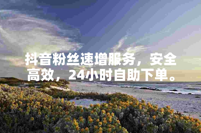抖音粉丝速增服务，安全高效，24小时自助下单。