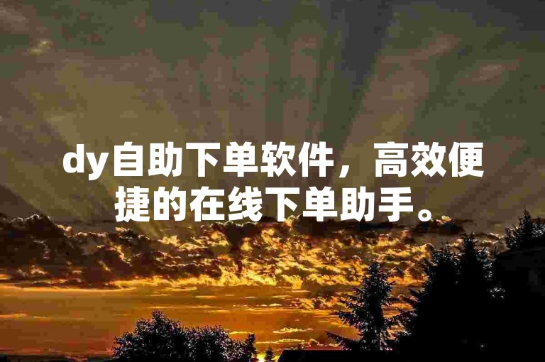 dy自助下单软件，高效便捷的在线下单助手。