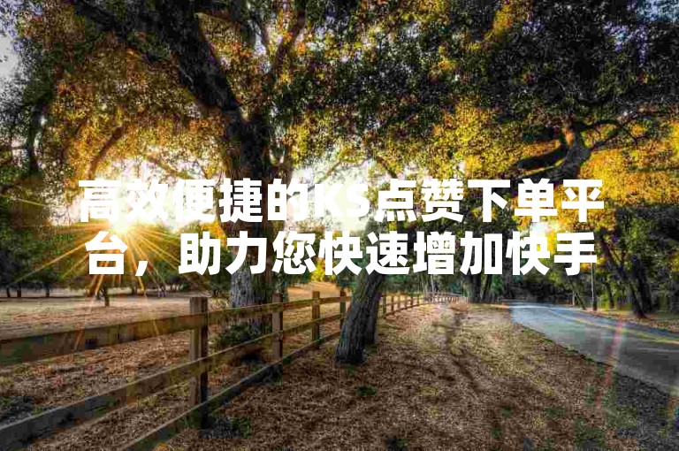 高效便捷的KS点赞下单平台，助力您快速增加快手粉丝互动。