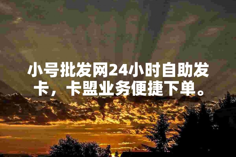 小号批发网24小时自助发卡，卡盟业务便捷下单。