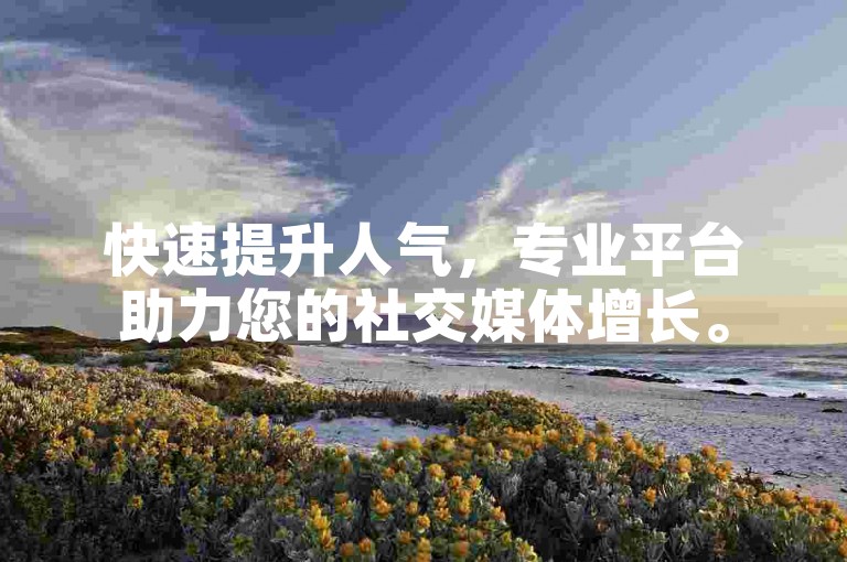 快速提升人气，专业平台助力您的社交媒体增长。