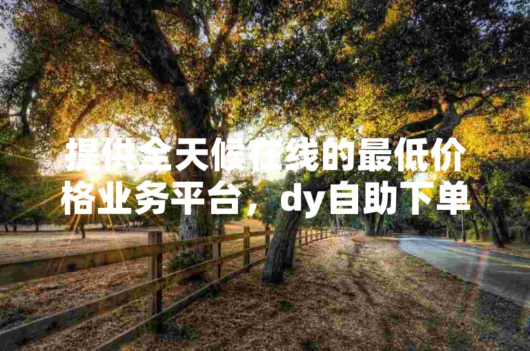 提供全天候在线的最低价格业务平台，dy自助下单平台。