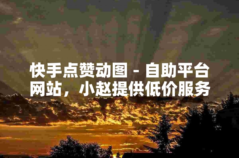 快手点赞动图 - 自助平台网站，小赵提供低价服务。
