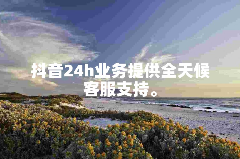 抖音24h业务提供全天候客服支持。