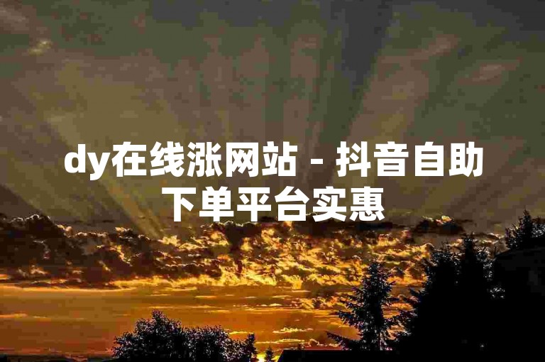 dy在线涨网站 - 抖音自助下单平台实惠