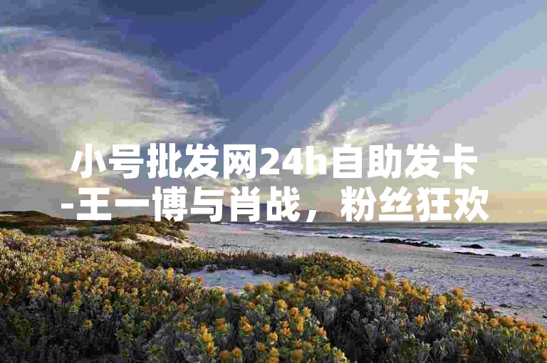 小号批发网24h自助发卡-王一博与肖战，粉丝狂欢。