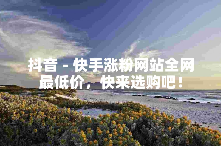 抖音 - 快手涨粉网站全网最低价，快来选购吧！