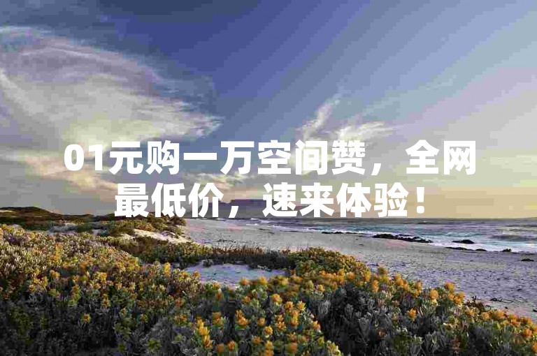 01元购一万空间赞，全网最低价，速来体验！