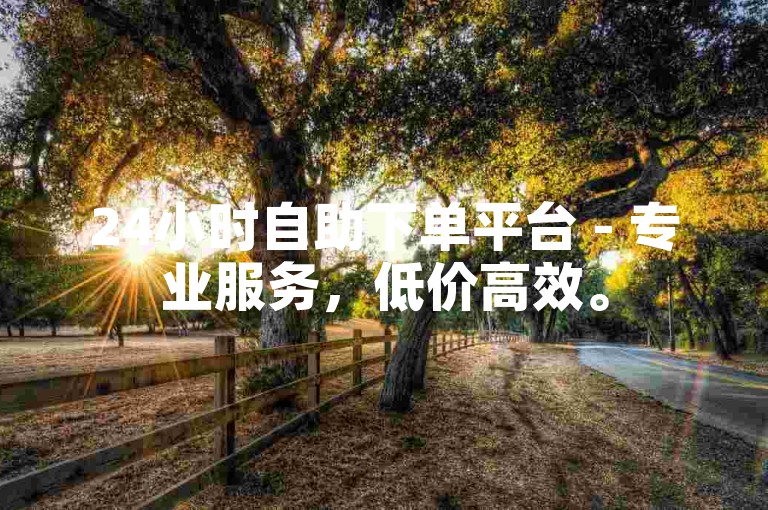 24小时自助下单平台 - 专业服务，低价高效。