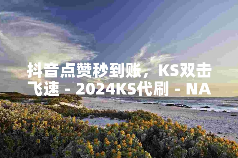 抖音点赞秒到账，KS双击飞速 - 2024KS代刷 - NAP6科技网。