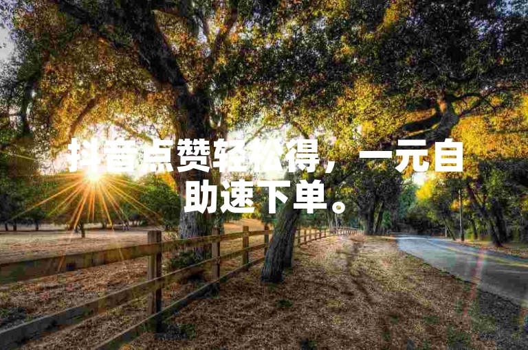 抖音点赞轻松得，一元自助速下单。