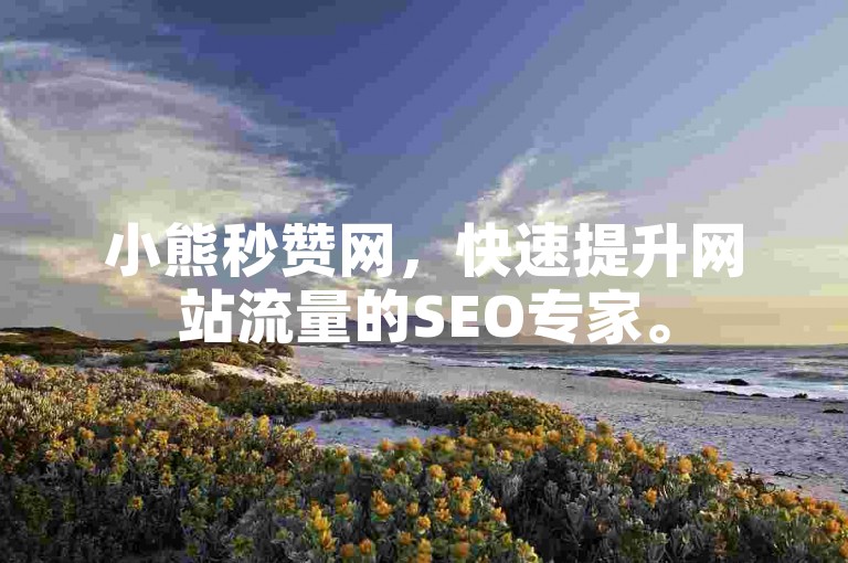 小熊秒赞网，快速提升网站流量的SEO专家。