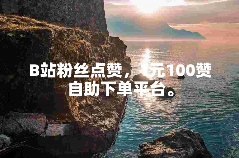 B站粉丝点赞，1元100赞自助下单平台。