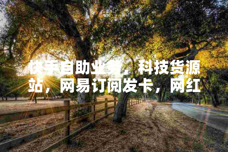 快手自助业务，科技货源站，网易订阅发卡，网红商城24H下单。