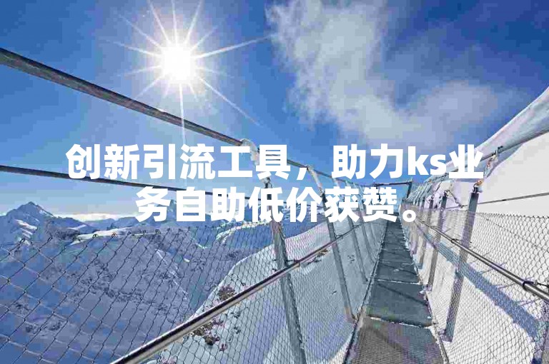 创新引流工具，助力ks业务自助低价获赞。