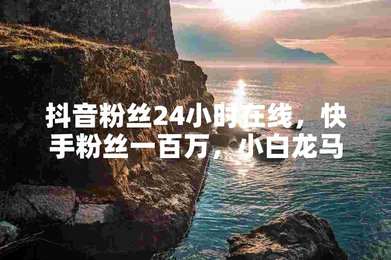 抖音粉丝24小时在线，快手粉丝一百万，小白龙马山肥大地房产装修网站。
