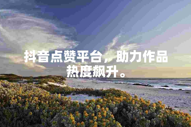 抖音点赞平台，助力作品热度飙升。