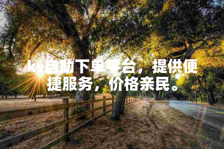 ks自助下单平台，提供便捷服务，价格亲民。