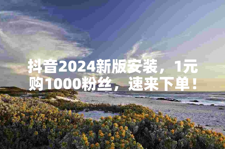 抖音2024新版安装，1元购1000粉丝，速来下单！