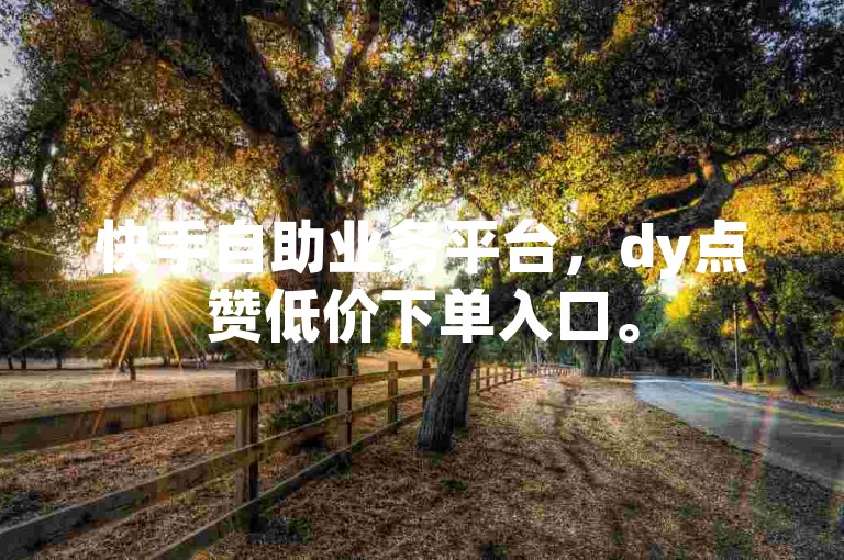 快手自助业务平台，dy点赞低价下单入口。