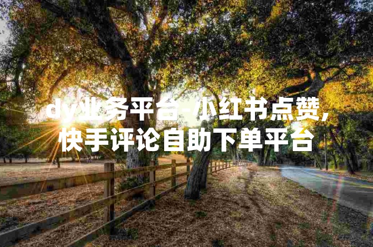 dy业务平台-小红书点赞,快手评论自助下单平台