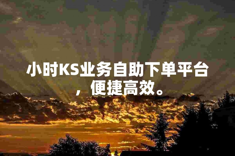 小时KS业务自助下单平台，便捷高效。