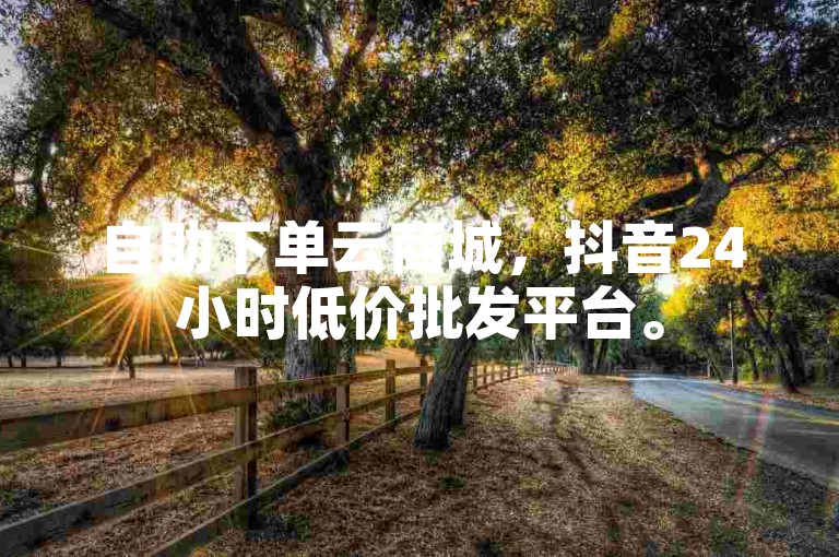 自助下单云商城，抖音24小时低价批发平台。