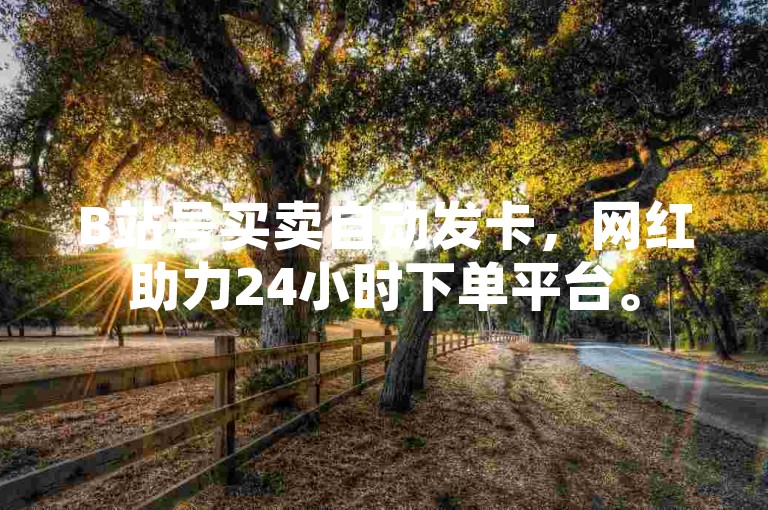 B站号买卖自动发卡，网红助力24小时下单平台。