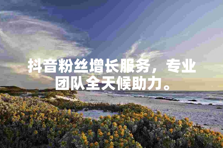 抖音粉丝增长服务，专业团队全天候助力。