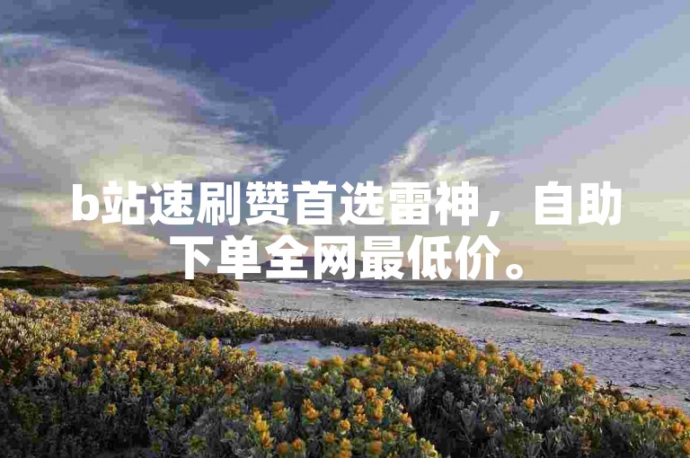 b站速刷赞首选雷神，自助下单全网最低价。